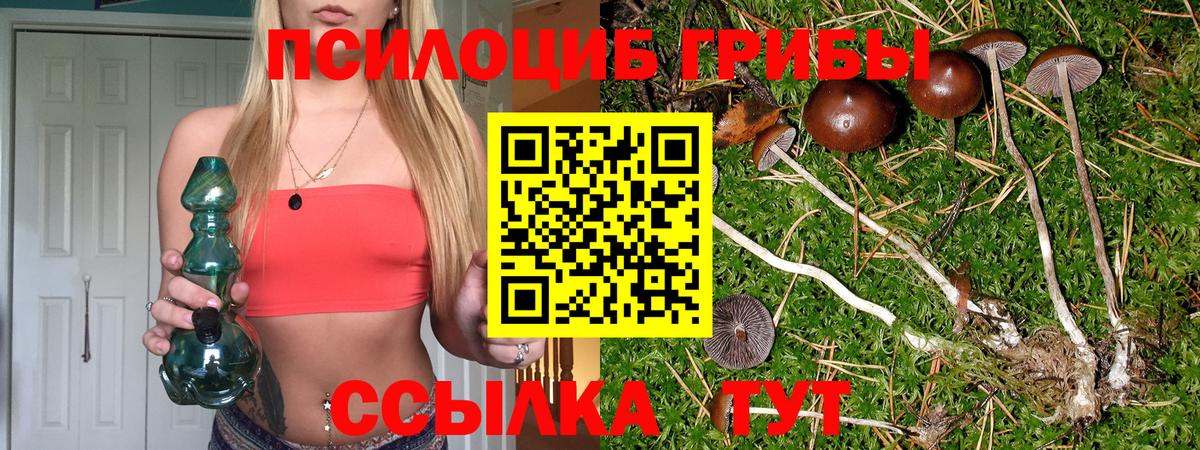 Ивантеевка  Галлюциногенные грибы мицелий  Галлюциногенные грибы мицелий  Вход с VPN 